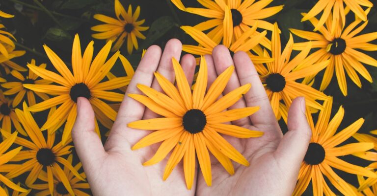 Close-up of hands holding vibrant yellow daisies, showcasing natural beauty and floral pattern.